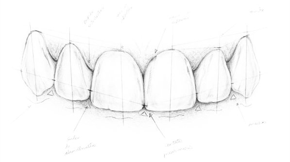 Smile Architecture & Restorative Treatment Blueprint